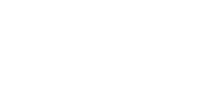 Smartland 14 ára