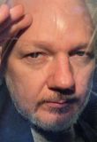 Krefja Bandaríkin svara um Assange